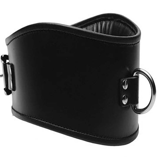 Fetish Neck Posture Collar by BDStyle - Collars and Leads