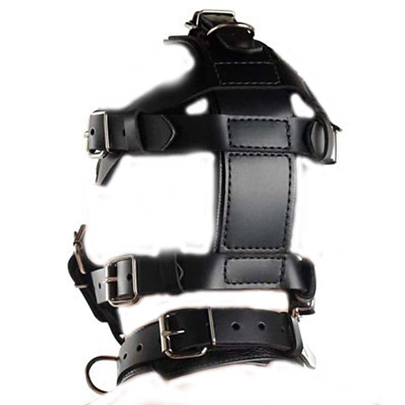 Head Harness & Muzzle Light by BDStyle - Bondage Gags and Bits