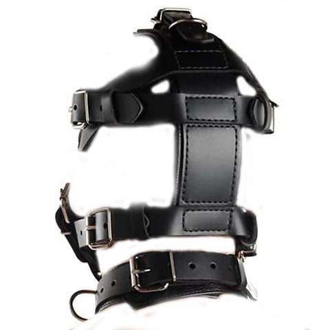 Head Harness & Muzzle Light by BDStyle - Bondage Gags and Bits