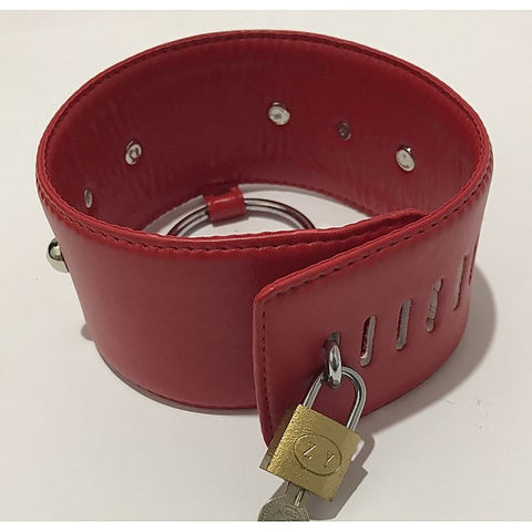 Spiked Bondage Collar Metal O Ring by BDStyle - Collars and Leads