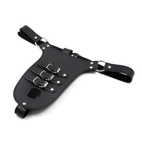 Male Chastity Harness with Penile Straps by BDStyle - Ball and Cock Toys
