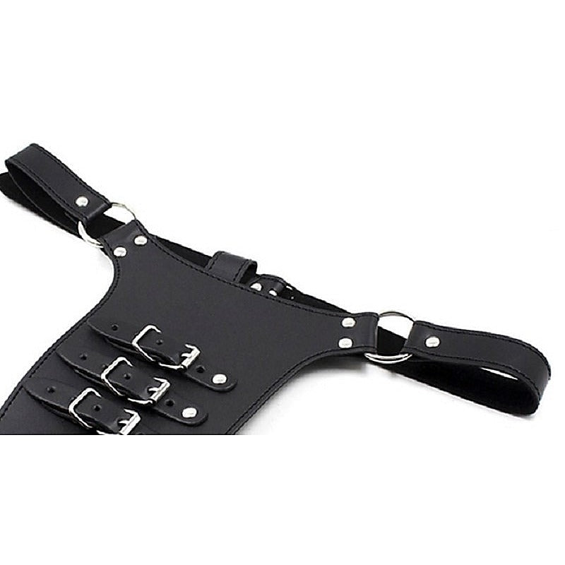 Male Chastity Harness with Penile Straps by BDStyle - Ball and Cock Toys