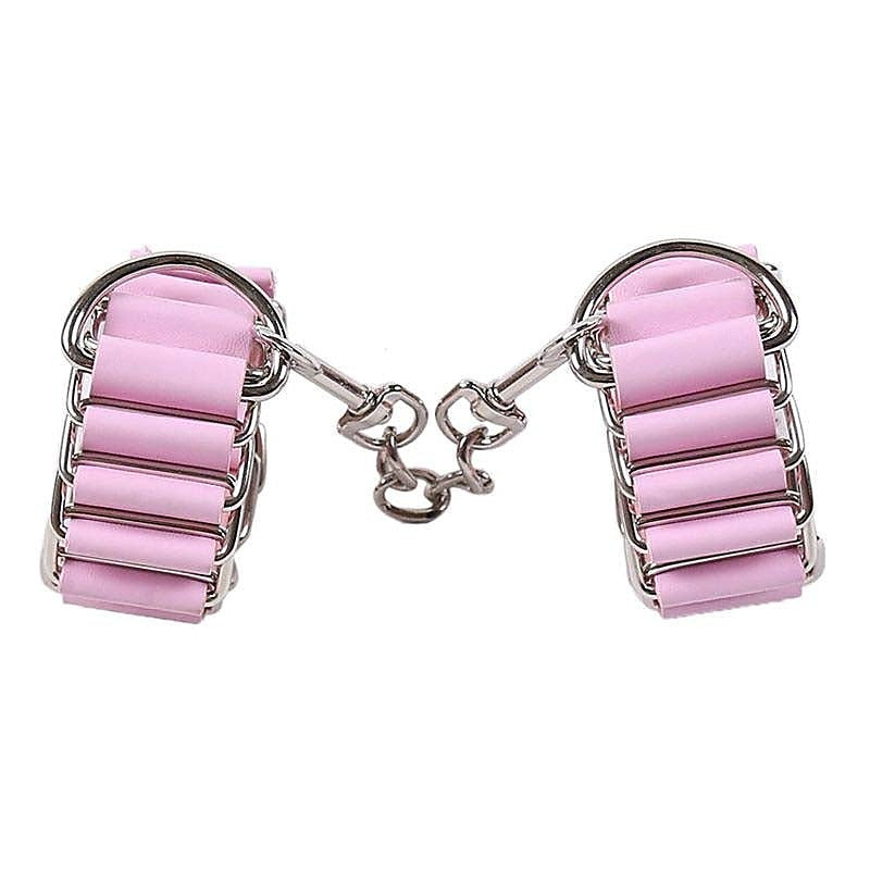 Premium Premium Dog-Clip Bondage Kit by BDStyle - Bondage Kits
