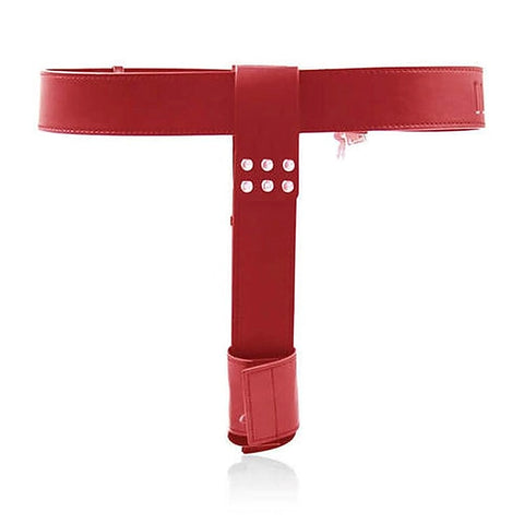 Female Chastity Belt With Double Vibration Plug by BDStyle - Male Chastity