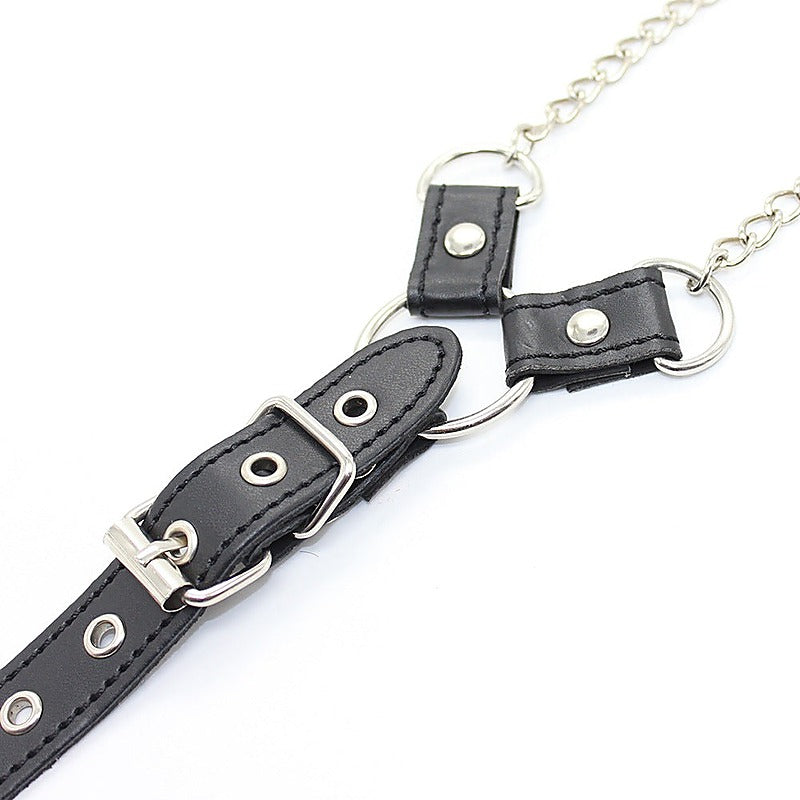Premium Nipple Clamps and Cock Ring by BDStyle - Cock Rings