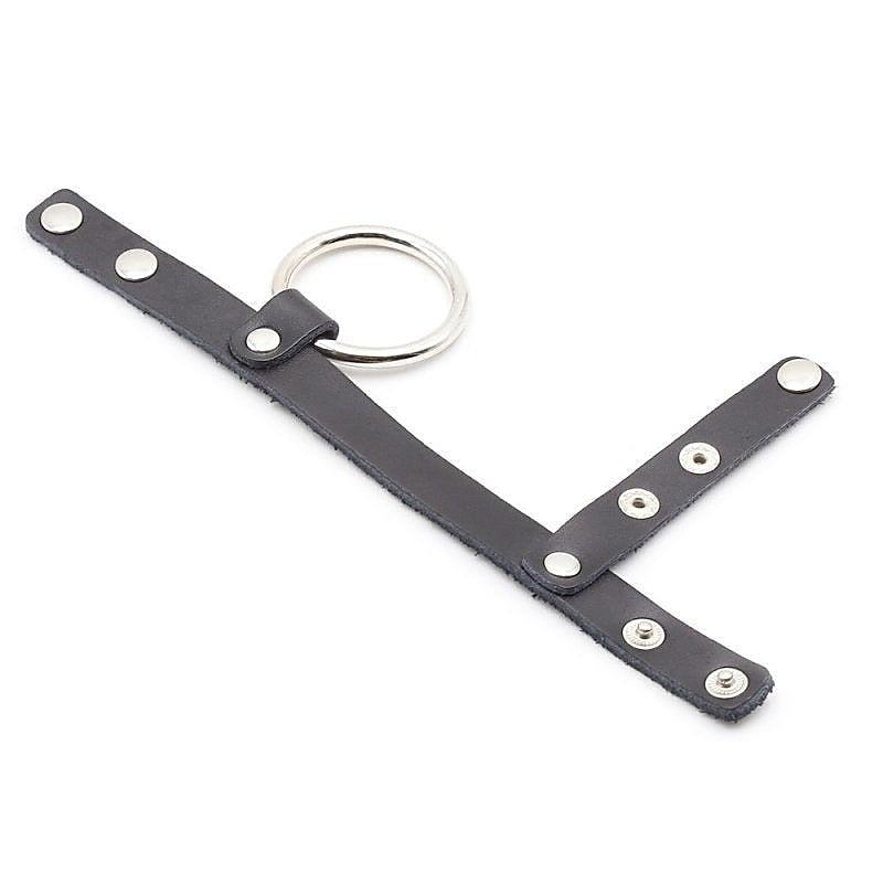 Cock Ring Harness With Ball Divider by BDStyle - Ball and Cock Toys