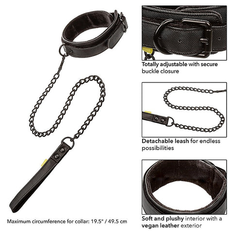 Boundless Bondage Collar and Leash by California Exotics - Collars and Leads