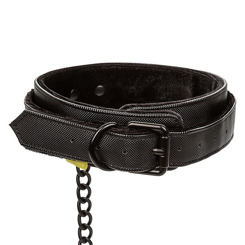 Boundless Bondage Collar and Leash by California Exotics - Collars and Leads