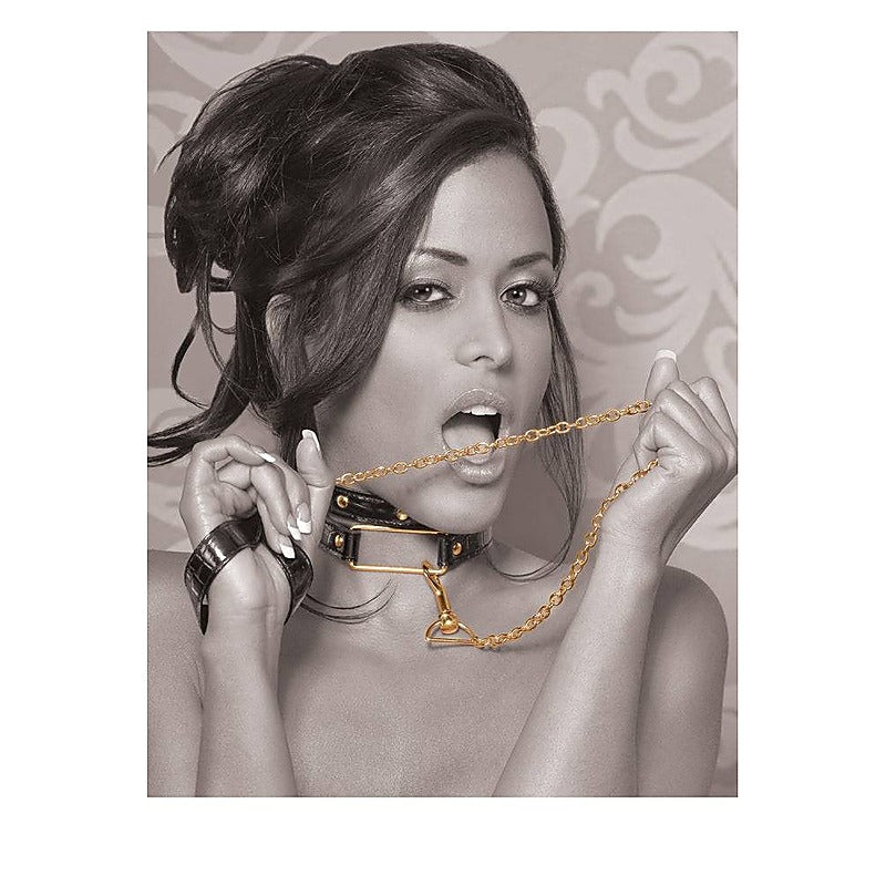 Fetish Fantasy Gold Bondage Collar and Leash Set - Collars and Leads