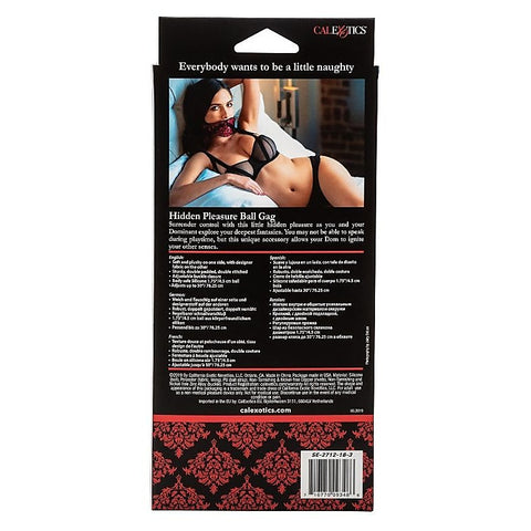 Scandal Hidden Pleasure Ball Gag by California Exotics - Bondage Gags and Bits
