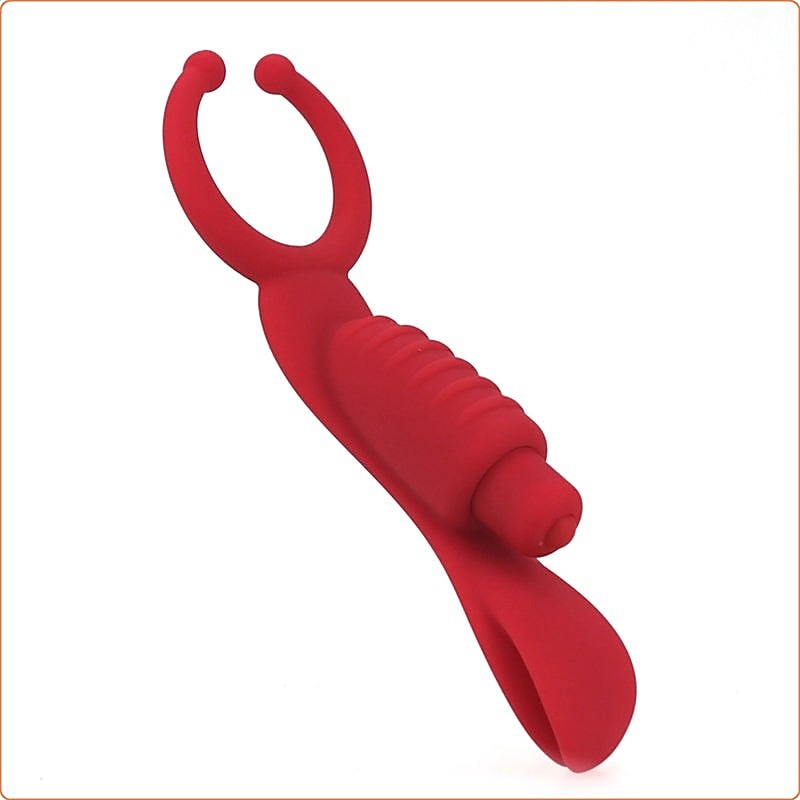 Premium Multi-Use Erection Tool by BDStyle - Ball and Cock Toys