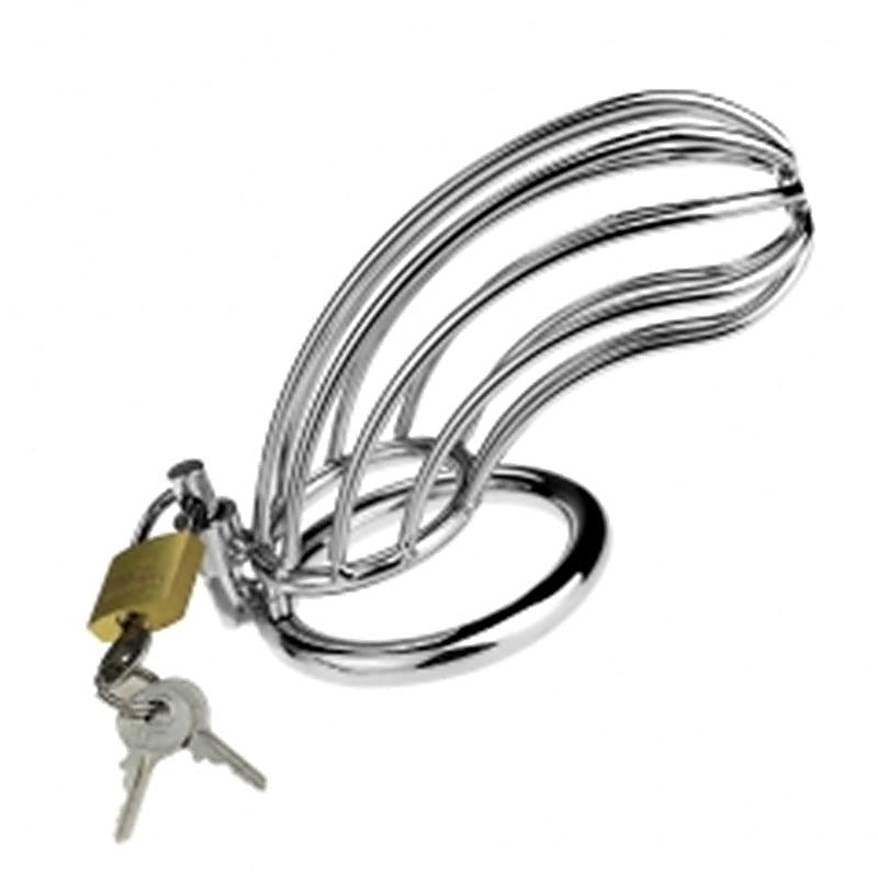 Metal Chastity Bird Cock Cage by Lovetoy - Male Chastity