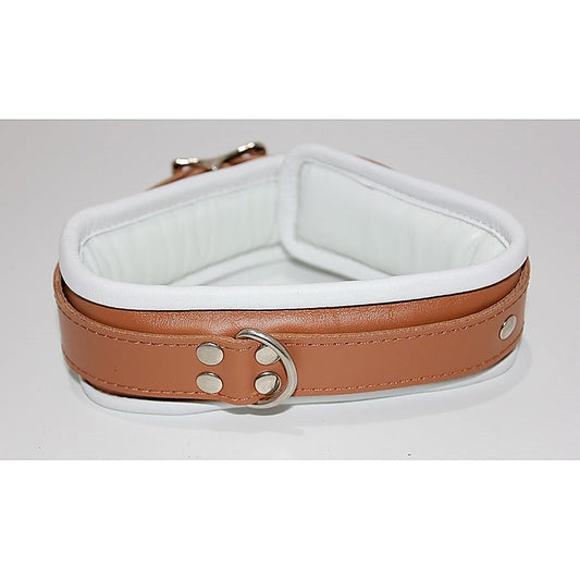 Dungeon Delights Asylum Collar Padded by BDStyle - Collars and Leads