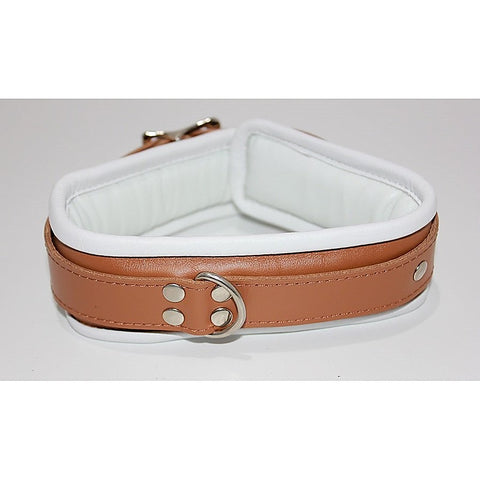 Dungeon Delights Asylum Collar Padded by BDStyle - Collars and Leads