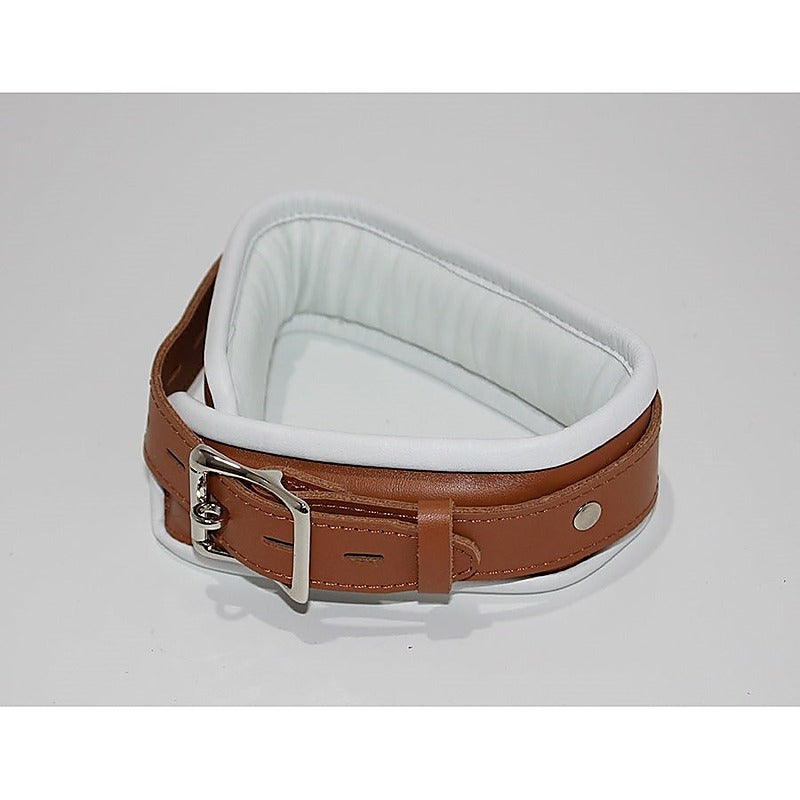 Dungeon Delights Asylum Collar Padded by BDStyle - Collars and Leads