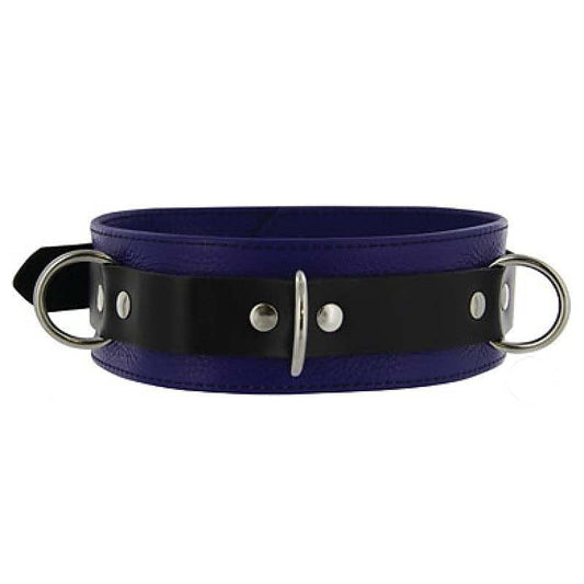 Purple Pleasures BDSM Collar with Studs O-Rings by BDStyle - Collars and Leads