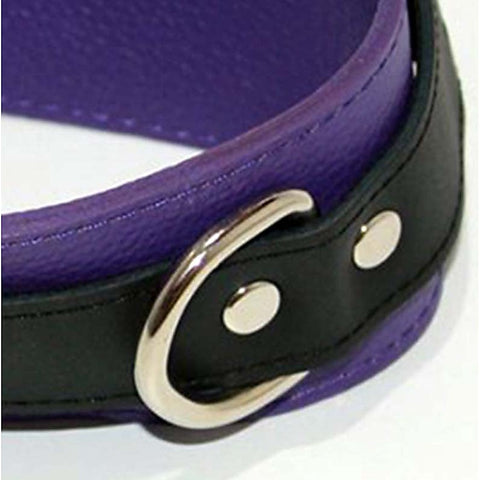 Purple Pleasures BDSM Collar with Studs O-Rings by BDStyle - Collars and Leads