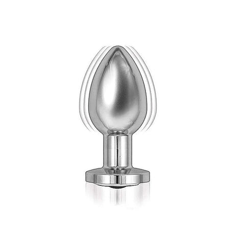 Premium Remote-Controlled Vibrating Metal Plug by Nasstoys - Butt Plugs