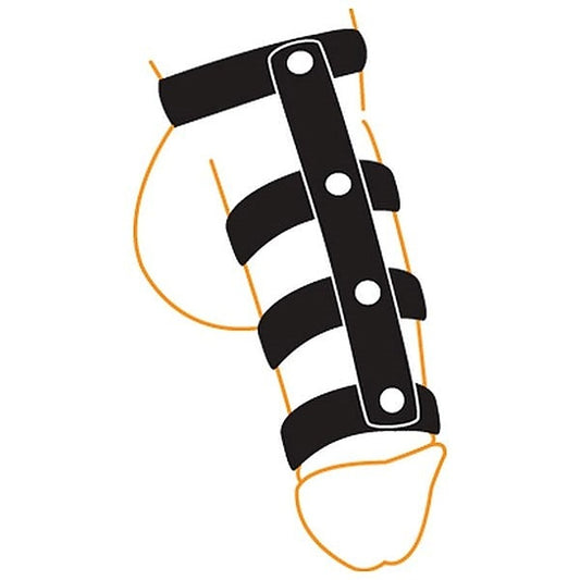 Leather Vertebrate by Spartacus Enterprises - Ball and Cock Toys