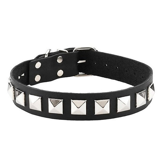 Studded Single Strap D-Ring Control Collar by Spartacus - Collars and Leads