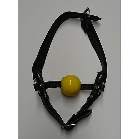 Ball Gag with Face Harness by Hell's Couture - Bondage Gags and Bits