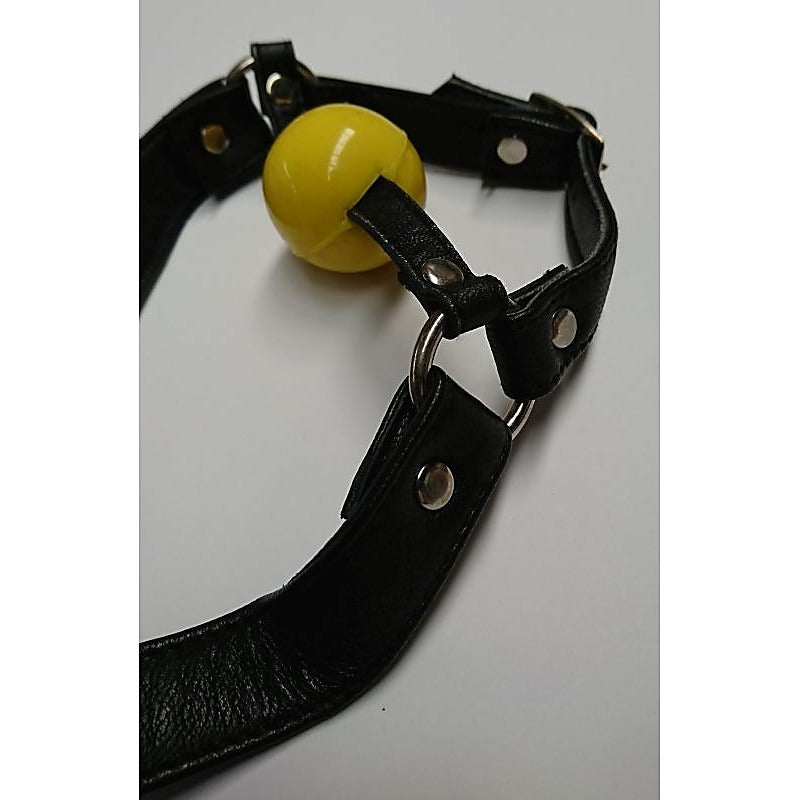 Ball Gag with Face Harness by Hell's Couture - Bondage Gags and Bits