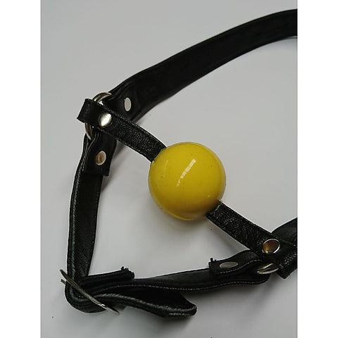 Ball Gag with Face Harness by Hell's Couture - Bondage Gags and Bits