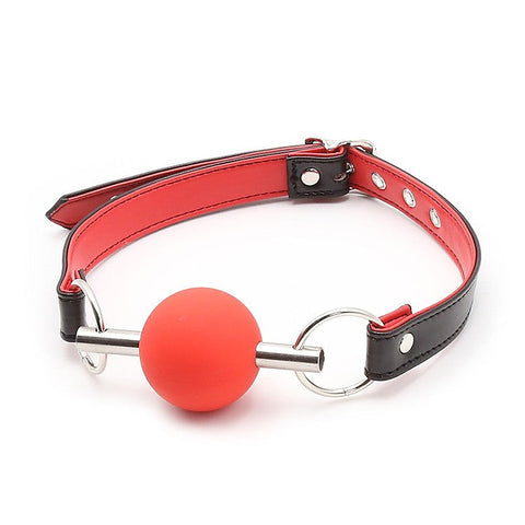 Metal Bar Silicone Ball Gag by BDStyle - Bondage Gags and Bits
