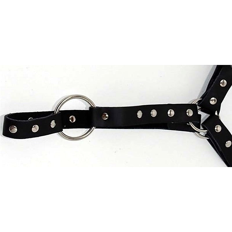 Premium Leather Waist Harness by Hell's Couture - Cuffs And Restraints