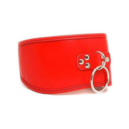 Posture Collar with O Ring by Hell's Couture - Collars and Leads