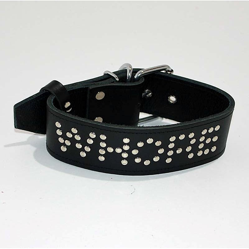 WHORE Leather Bondage Collar by Hell's Couture - Collars and Leads