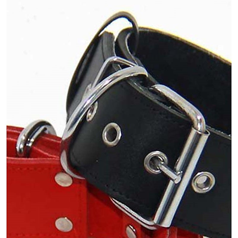 Pigs Leather BDSM Collar by Hell's Couture - Collars and Leads