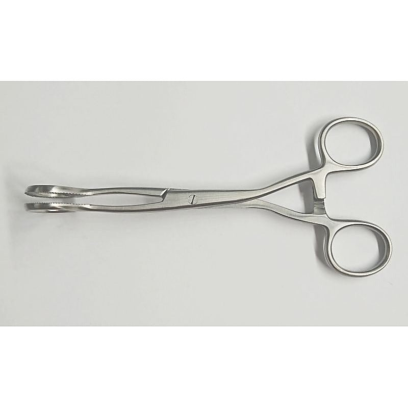 Hells Couture Medical Steel Clamp Forceps Surgical Steel BDSM Clamps - Dental and Clinical