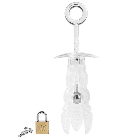 Premium Clear Resin Anal Lock by BDStyle - Dental and Clinical