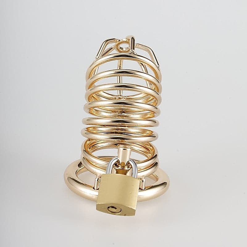 Gold Metal Chastity Cage Device by BDStyle - Male Chastity