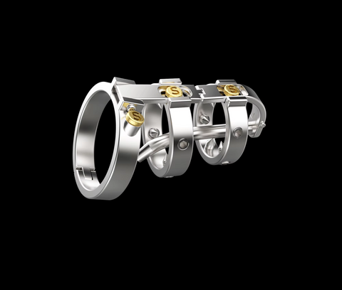 BDStyle Mechanical Chastity Cage with Tamper Proof Lock - Male Chastity