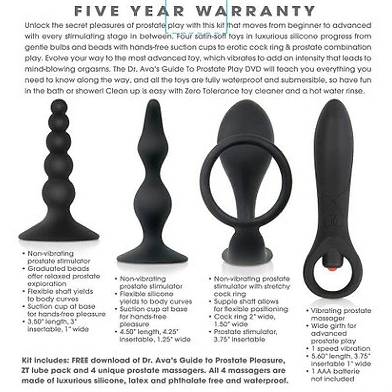 Zero Tolerance Intro to Prostate Massager Kit by Evolved - Prostate Toys