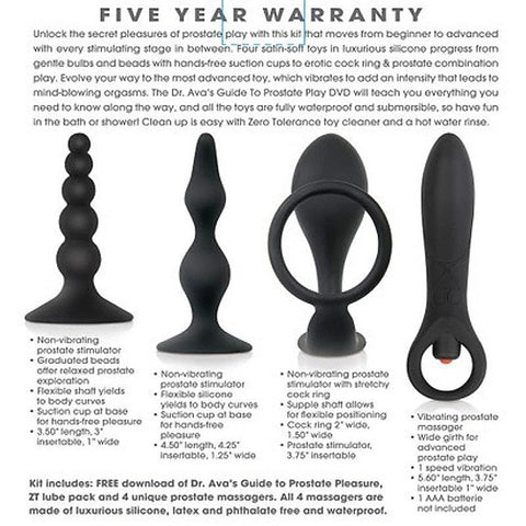 Zero Tolerance Intro to Prostate Massager Kit by Evolved - Prostate Toys