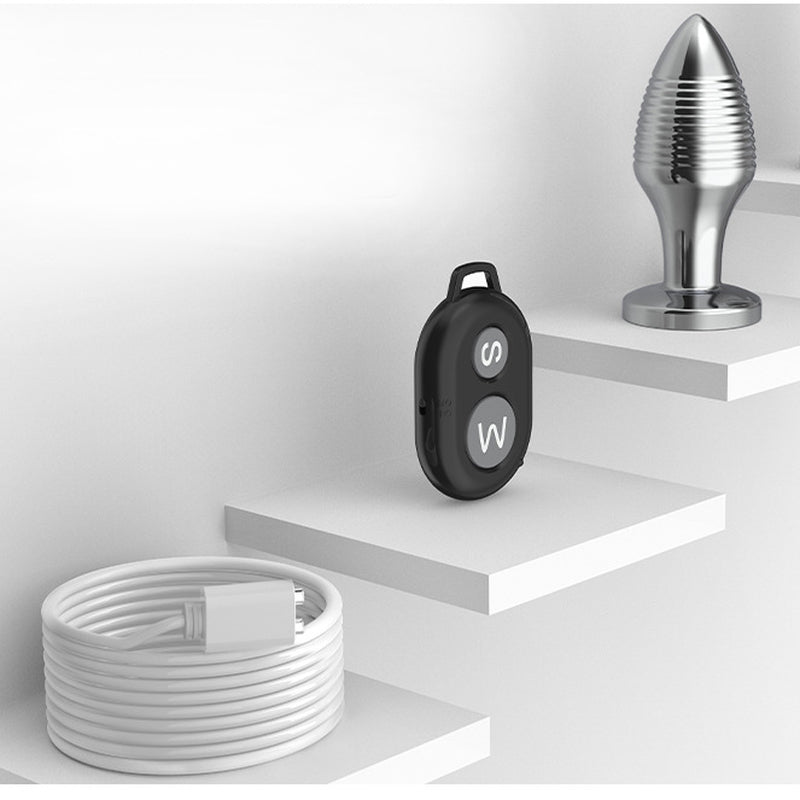 BDStyle Rechargable Remote Controlled Vibrating Steel Butt Plug - - Butt Plugs