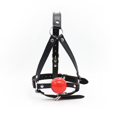 BDStyle Bondage Ball Gag Head Harness - Bondage Gags and Bits