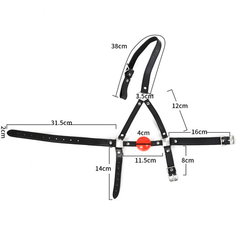 BDStyle Bondage Ball Gag Head Harness - Bondage Gags and Bits