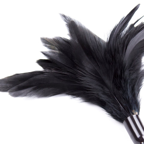 BDStyle Horn Sensory Feather Tickler Teaser - Ticklers
