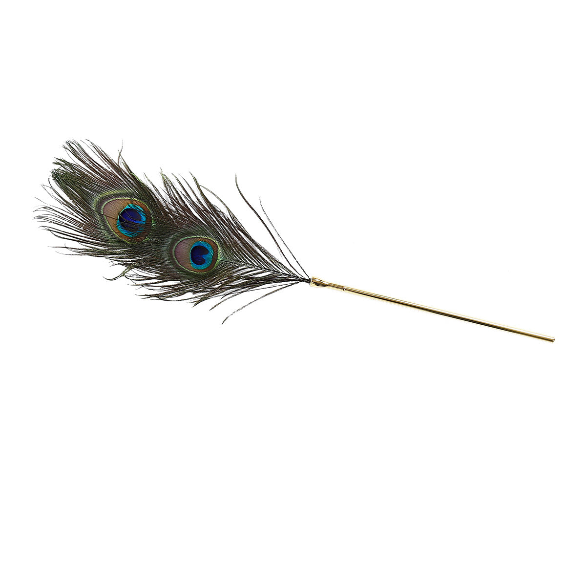 BDStyle BDSM Play Peacock Feather Tickler - - Ticklers