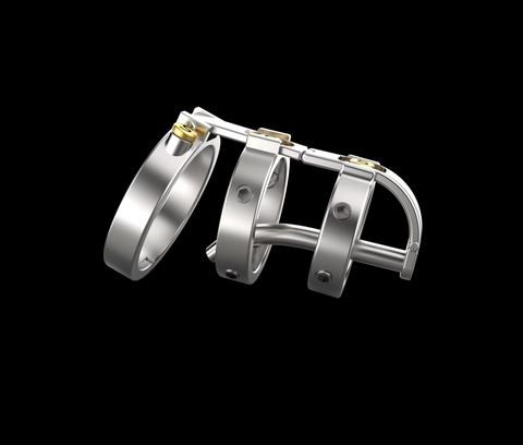 BDStyle Mechanical Chastity Cage with Tamper Proof Lock - Male Chastity
