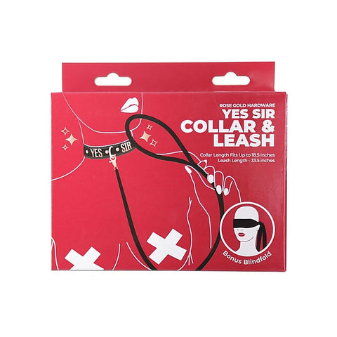 Punishment Rose Gold Yes Sir Collar and Leash by BMS Factory - Collars and Leads