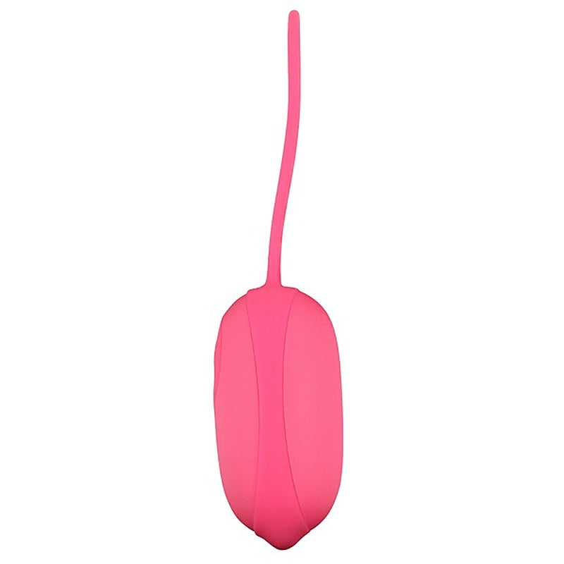 Eden Remote Control Egg Vibrator by Baile - Love Eggs and Kegel Exercisers