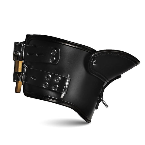 Master Series Rigid Locking Posture Collar by XR Brands - Collars and Leads