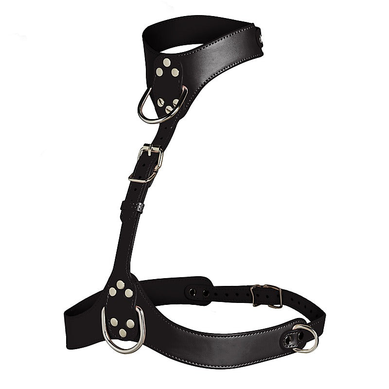 Master Series Vixen Female Chest Harness by XR Brands - Cuffs And Restraints