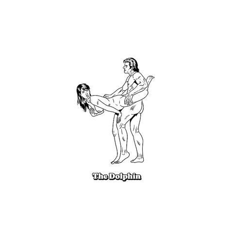 Sexiest Sex Positions Colouring Book by Wood Rocket - Party Gifts and Novelties