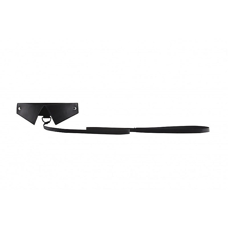 Fetish Play Exclusive BDSM Collar & Leash by Shots Toys - Collars and Leads